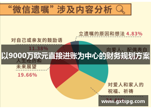 以9000万欧元直接进账为中心的财务规划方案